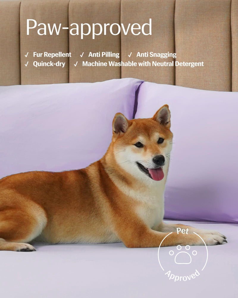 REST Evercool+ Starter Sheet Set, Queen, Lavender, Breathable Bed Sheets for Hot Sleeper and Night Sweats, with Pillowcases, Ionic+ Self-Cleaning Silver Yarn for Sensitive Skin, 3PCS No Flat Sheet - Image 5